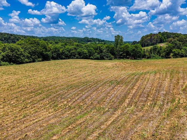 Land for sale in Tennessee