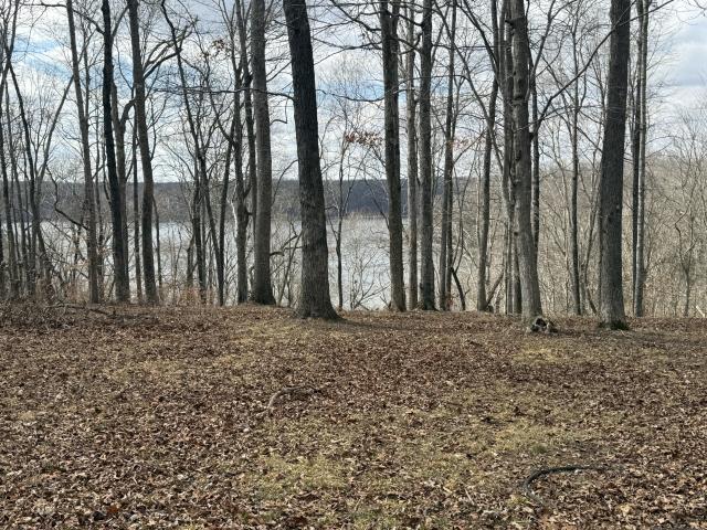 Land for sale in Tennessee