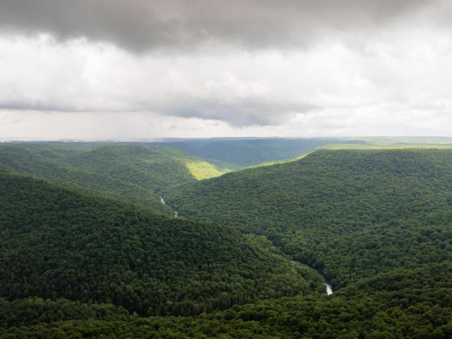 Land for sale in Tennessee