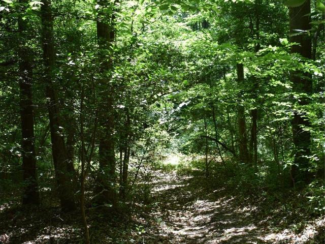 Land for sale in Tryon, North Carolina