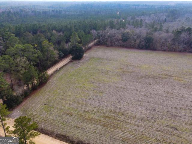 Land for sale in Pembroke, Georgia