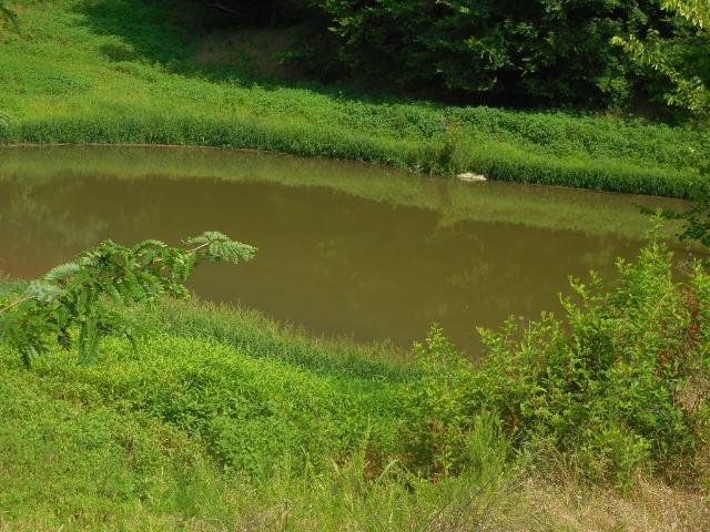 Land for sale in Tennessee