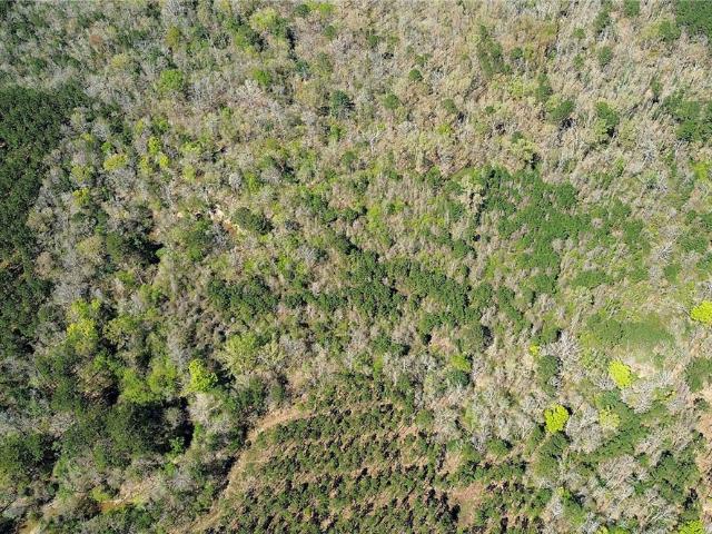 Land for sale in Newton, Texas