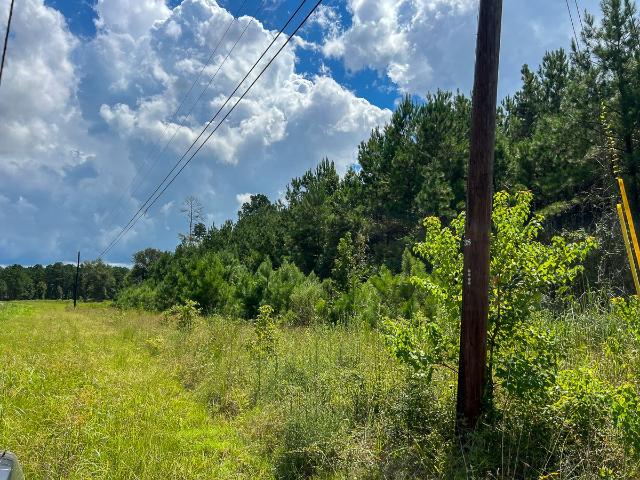 Land for sale in Jasper, Texas