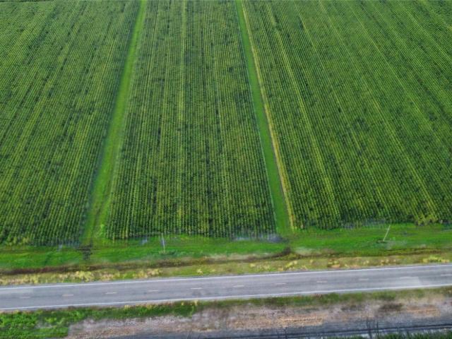 Land for sale in Wharton, Texas