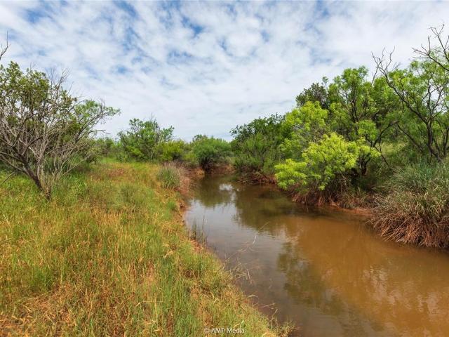 Land for sale in Aspermont, Texas