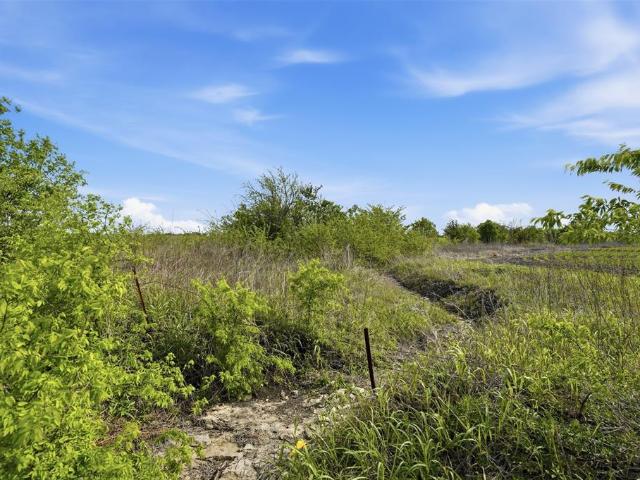 Land for sale in Milford, Texas
