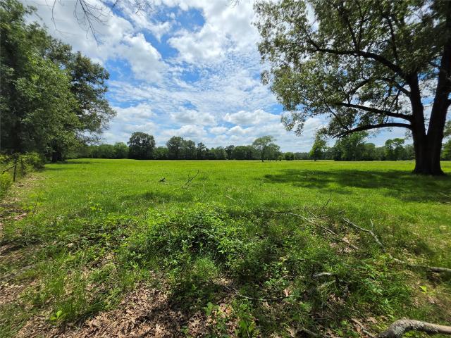 Land for sale in Lovelady, Texas