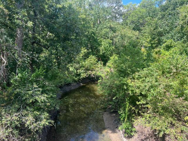 Land for sale in Chappell Hill, Texas