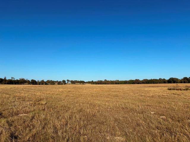 Land for sale in Texas