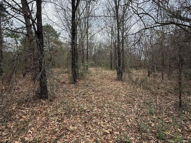 Land for sale in Smith, Texas