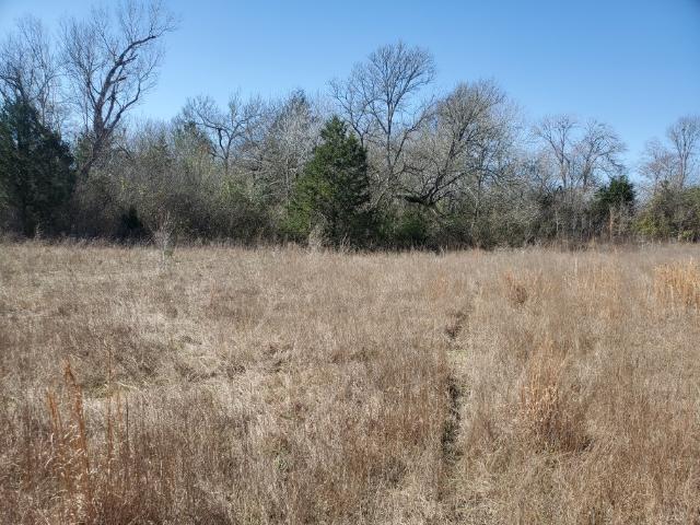 Land for sale in Grimes, Texas