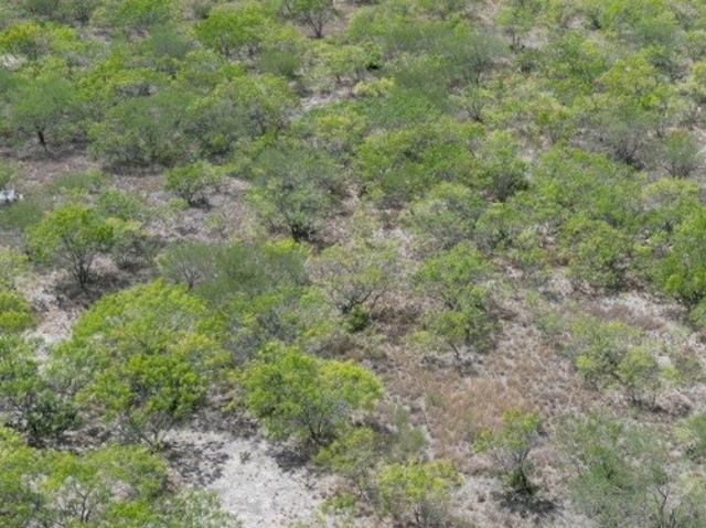 Land for sale in Three Rivers, Texas
