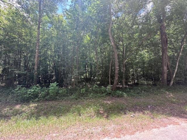 Land for sale in Liberty, Texas