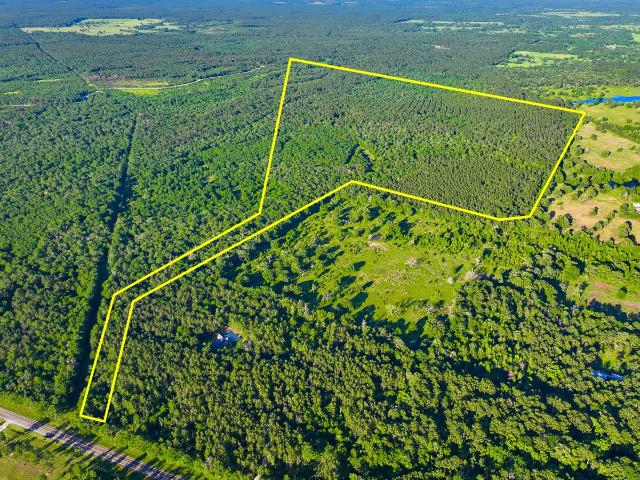 Land for sale in Walker, Texas