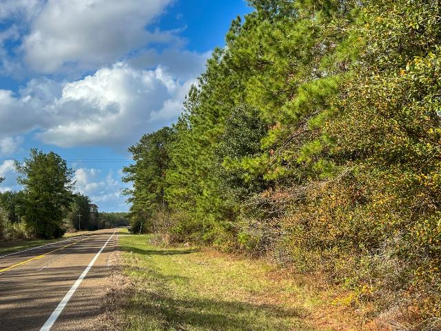 Land for sale in Newton, Texas