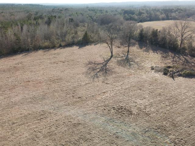 Land for sale in Mount Enterprise, Texas