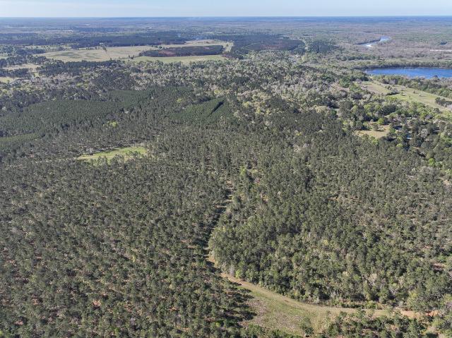 Land for sale in Polk, Texas