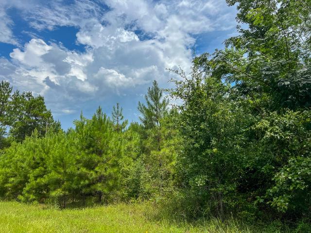 Land for sale in Newton, Texas