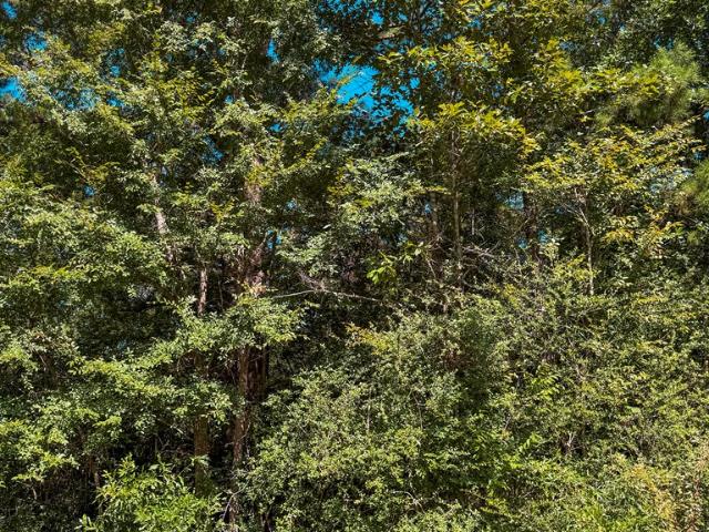 Land for sale in Elkhart, Texas