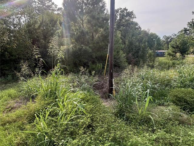 Land for sale in Onalaska, Polk County