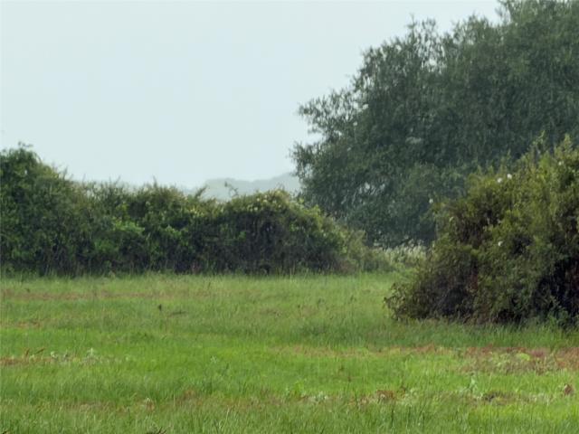 Land for sale in Blessing, Texas