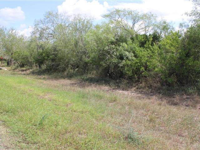 Property for sale in Premont, Texas