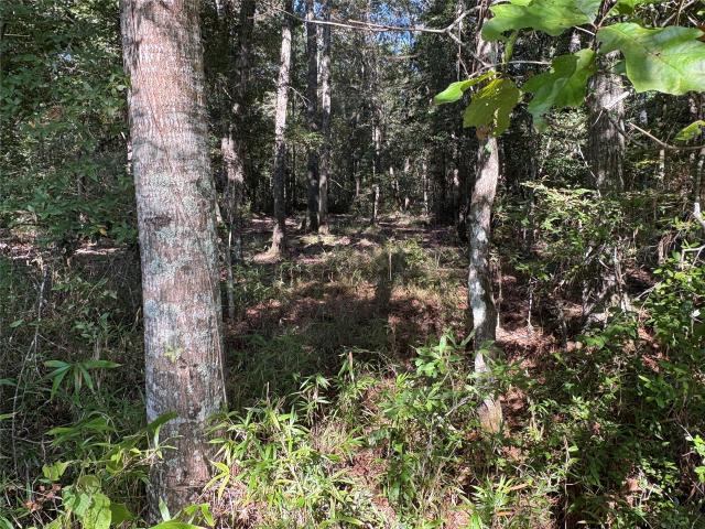 Land for sale in Thicket, Texas