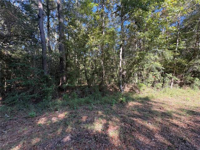Property for sale in Thicket, Texas