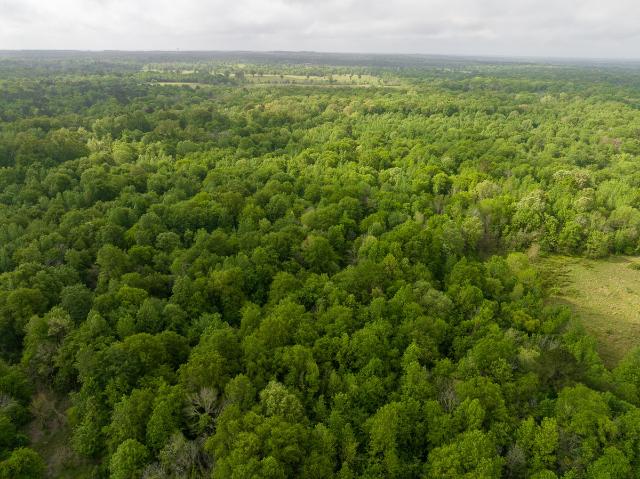 Land for sale in Crockett, Texas