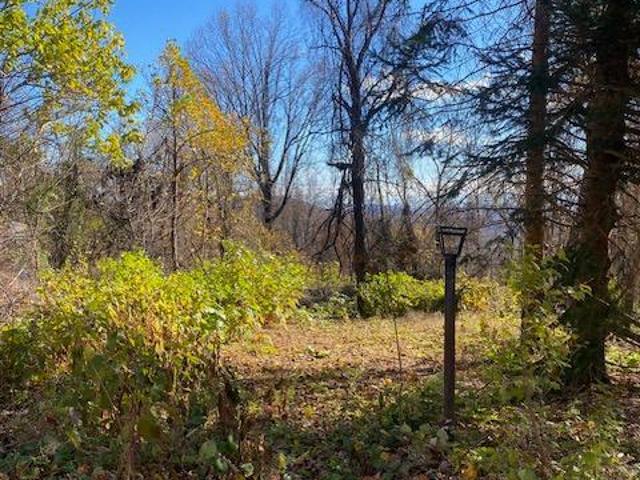 Land for sale in Virginia