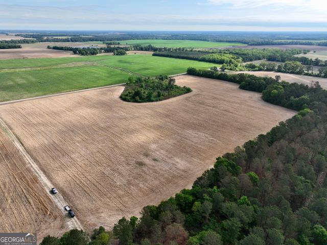Land for sale in Pineview, Georgia