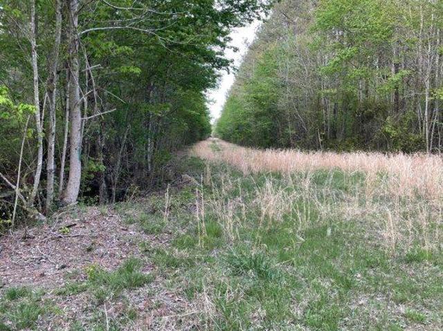 Land for sale in Princess Anne, Maryland