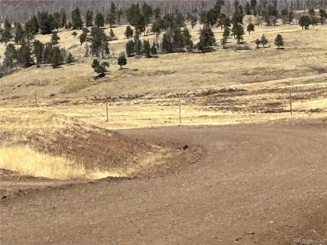 Land for sale in Fort Garland, Colorado