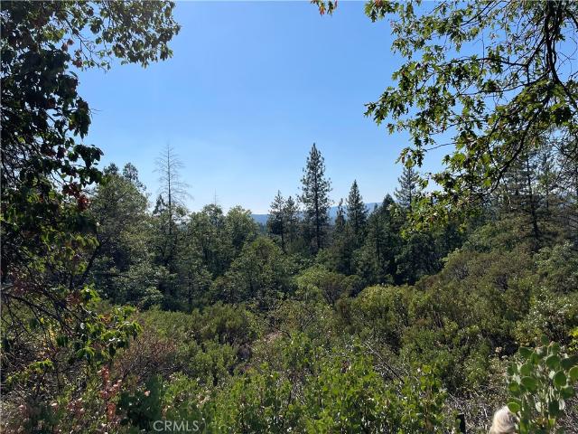 Land for sale in Challenge, California