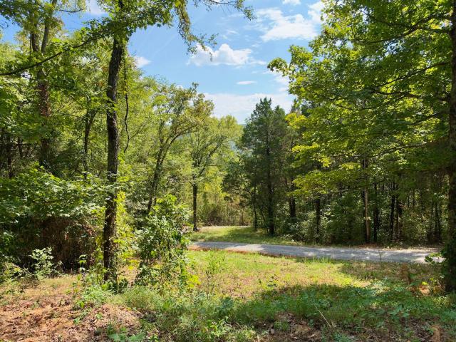 Land for sale in Middle Tennessee, Tennessee