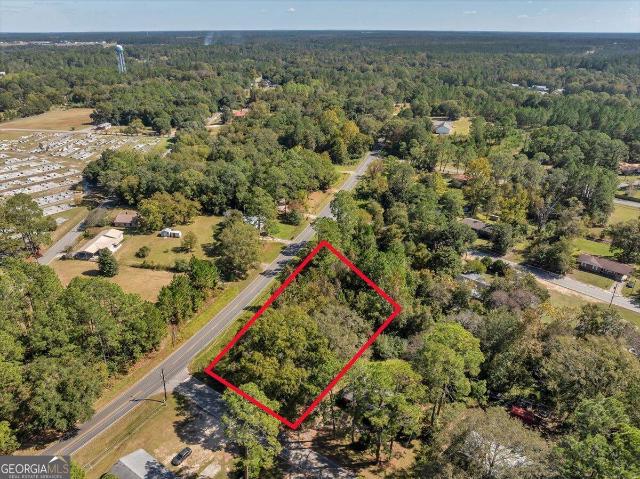 Land for sale in Dodge, Georgia
