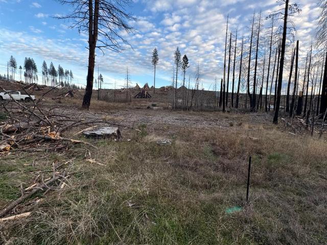 Land for sale in Grizzly Flats, California