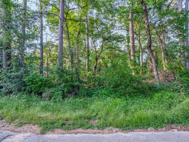 Land for sale in Henderson, Texas