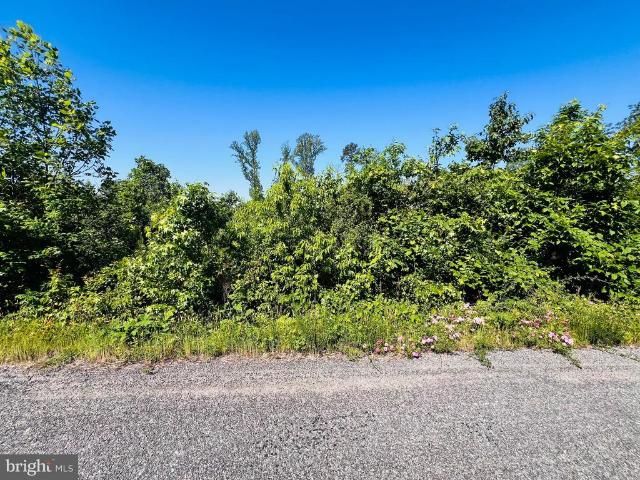 Land for sale in Virginia