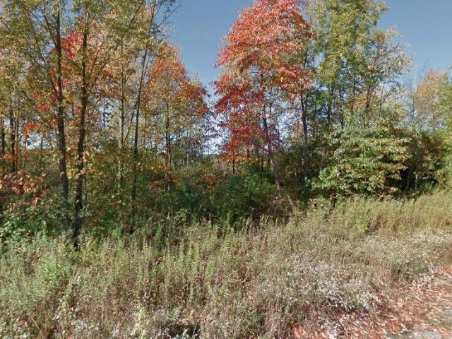 Land for sale in Michigan