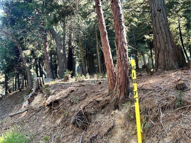 Land for sale in Twin Peaks, California