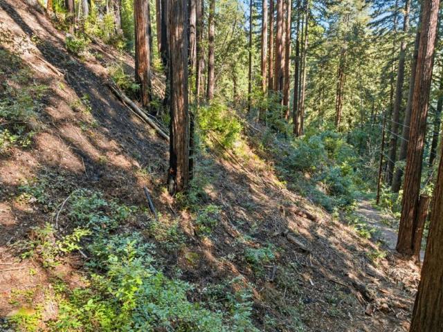 Land for sale in Brookdale, California