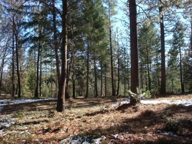 Land for sale in Foresthill, California