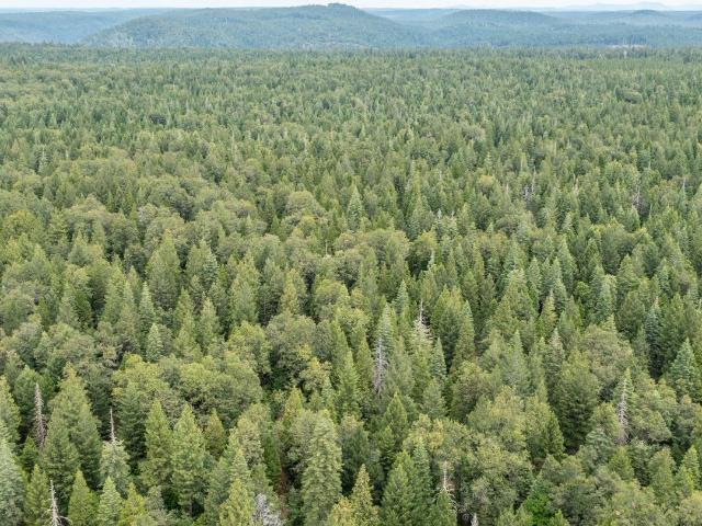 Property for sale in Foresthill, California
