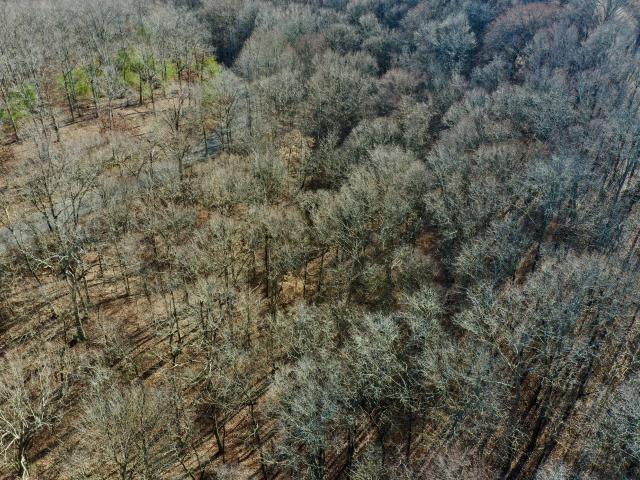 Land for sale in Tennessee
