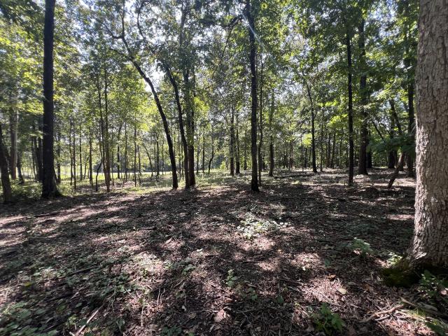 Land for sale in Paris, West Tennessee