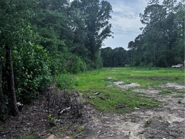 Land for sale in Savannah, Georgia