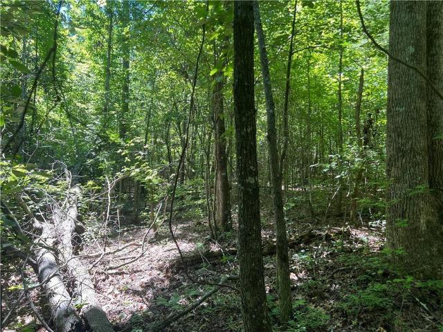 Land for sale in Pickens, Georgia