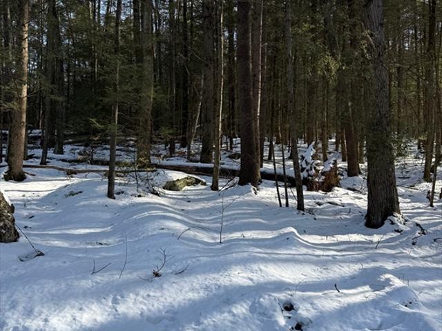 Land for sale in Erving, Massachusetts